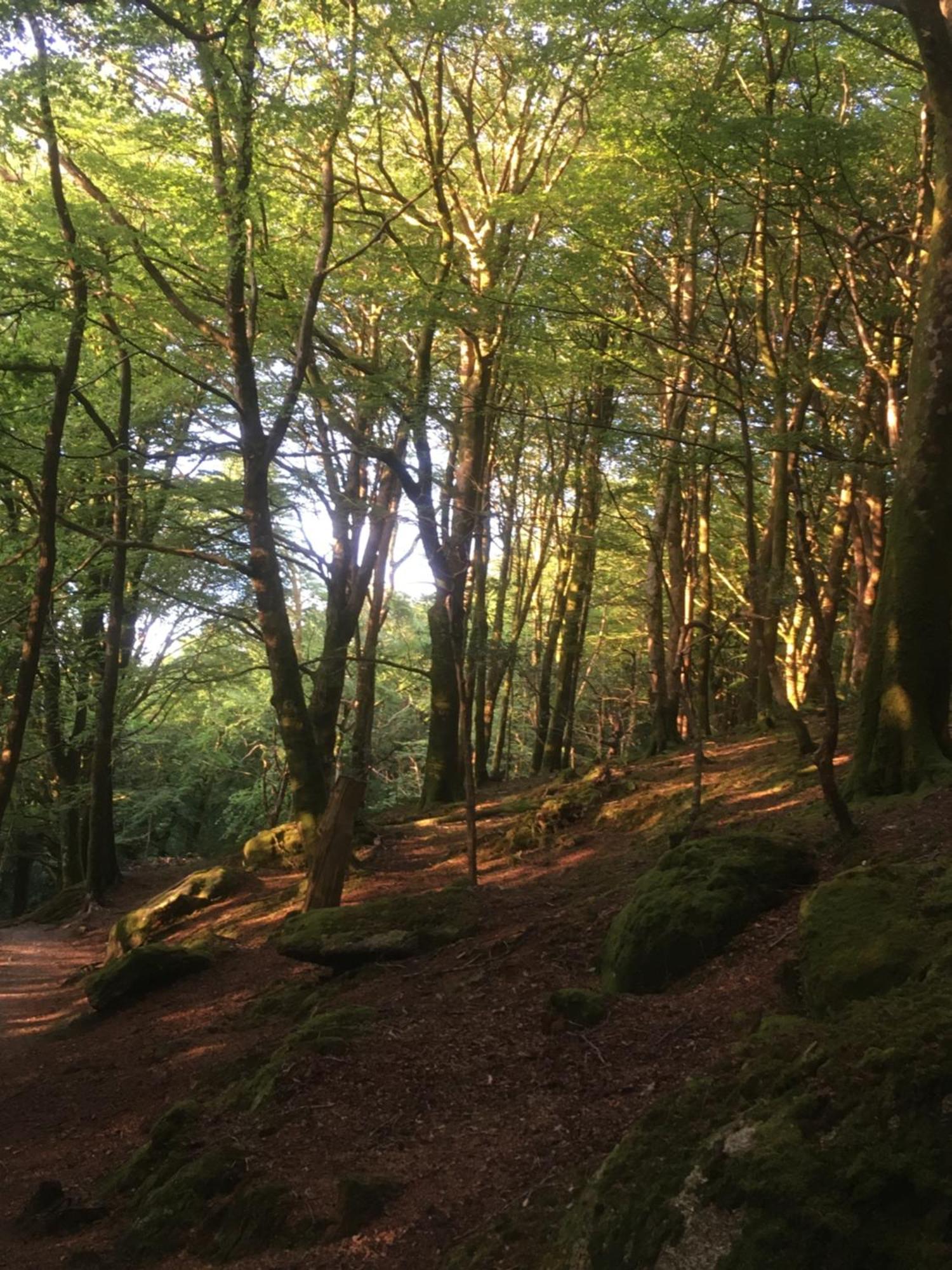 Treganoon House, Lanlivery Bodmin Bagian luar foto
